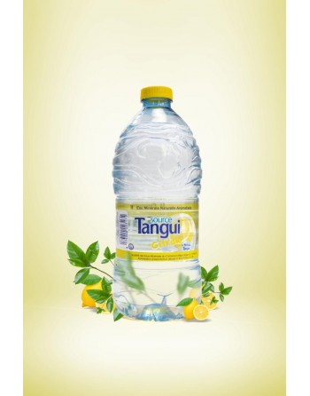 TANGUI lemon mineral water - 1 L