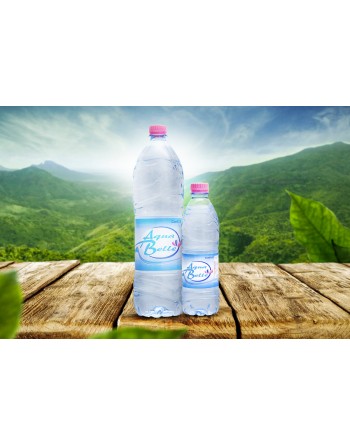 AQUA BELLE mineral water - 50 CL